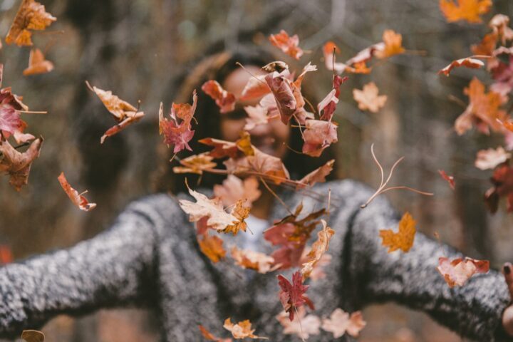 laser – getting ready for fall laser - getting ready for fall